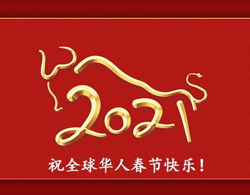 沈阳网站建设优化公司祝全球华人春节快乐！