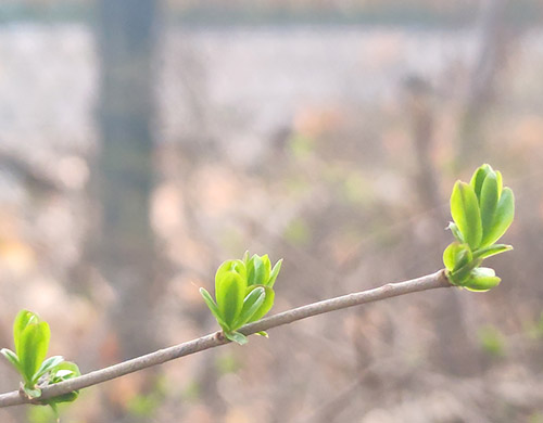 沈阳网站制作行业现状调查报告