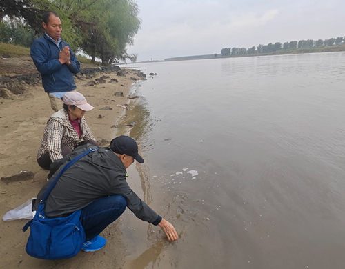 沈阳网站制作公司践行社会责任：放生护生，助力辽河湿地生物多样性保护